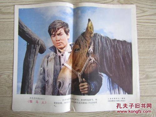 加州州立大学萨克拉门托 Diploma